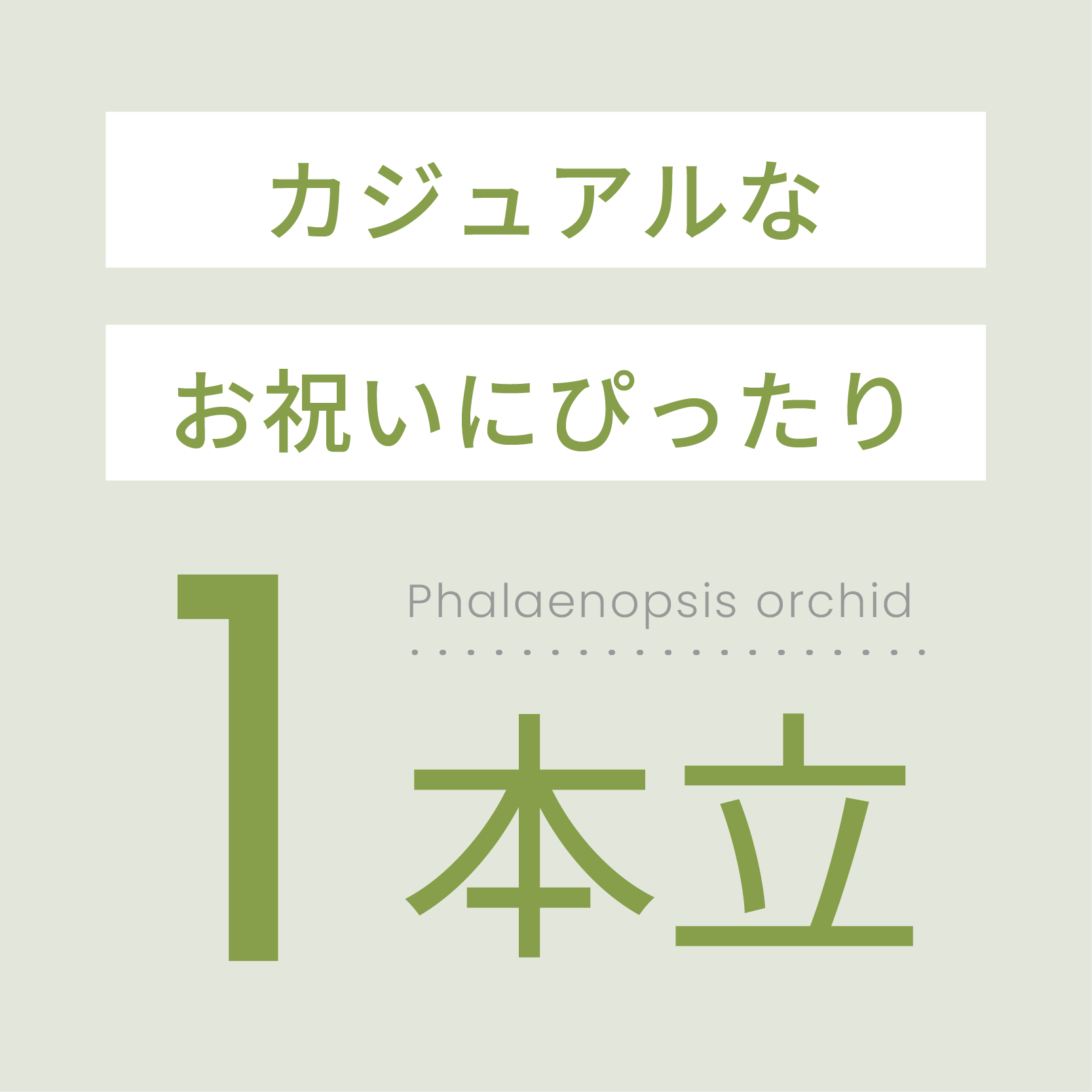 カジュアルなお祝いにぴったり1本立