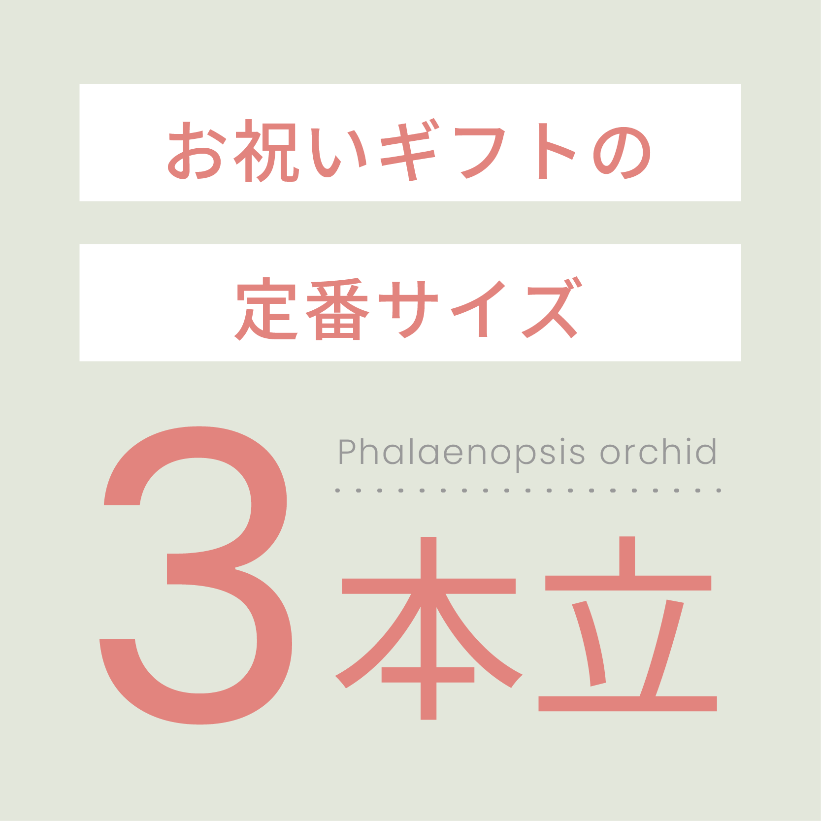 お祝いギフトの定番サイズ3本立