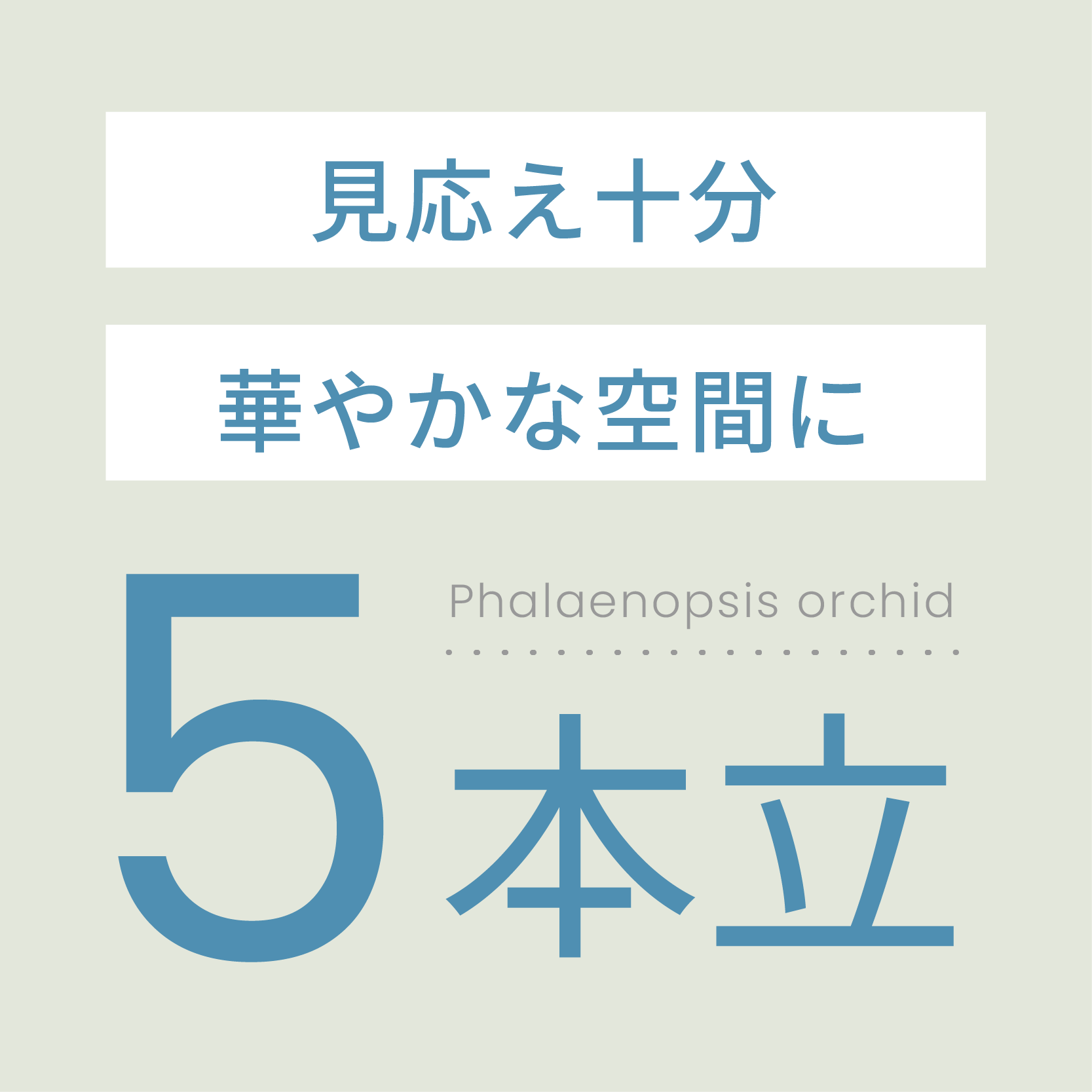 見応え十分華やかな空間に5本立