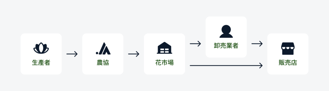 胡蝶蘭の流通経路